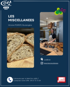 Les Miscellanées